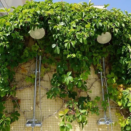 Sun Village Case de vacanță *